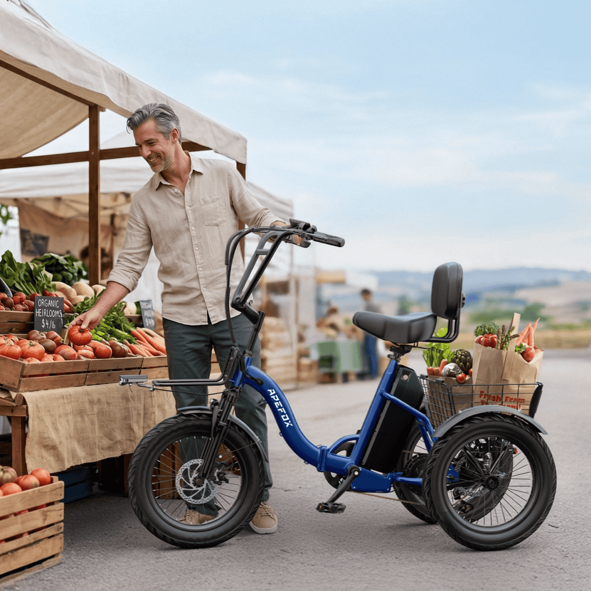 APEFOX RH30 - Electric tricycle - Wheelyshop