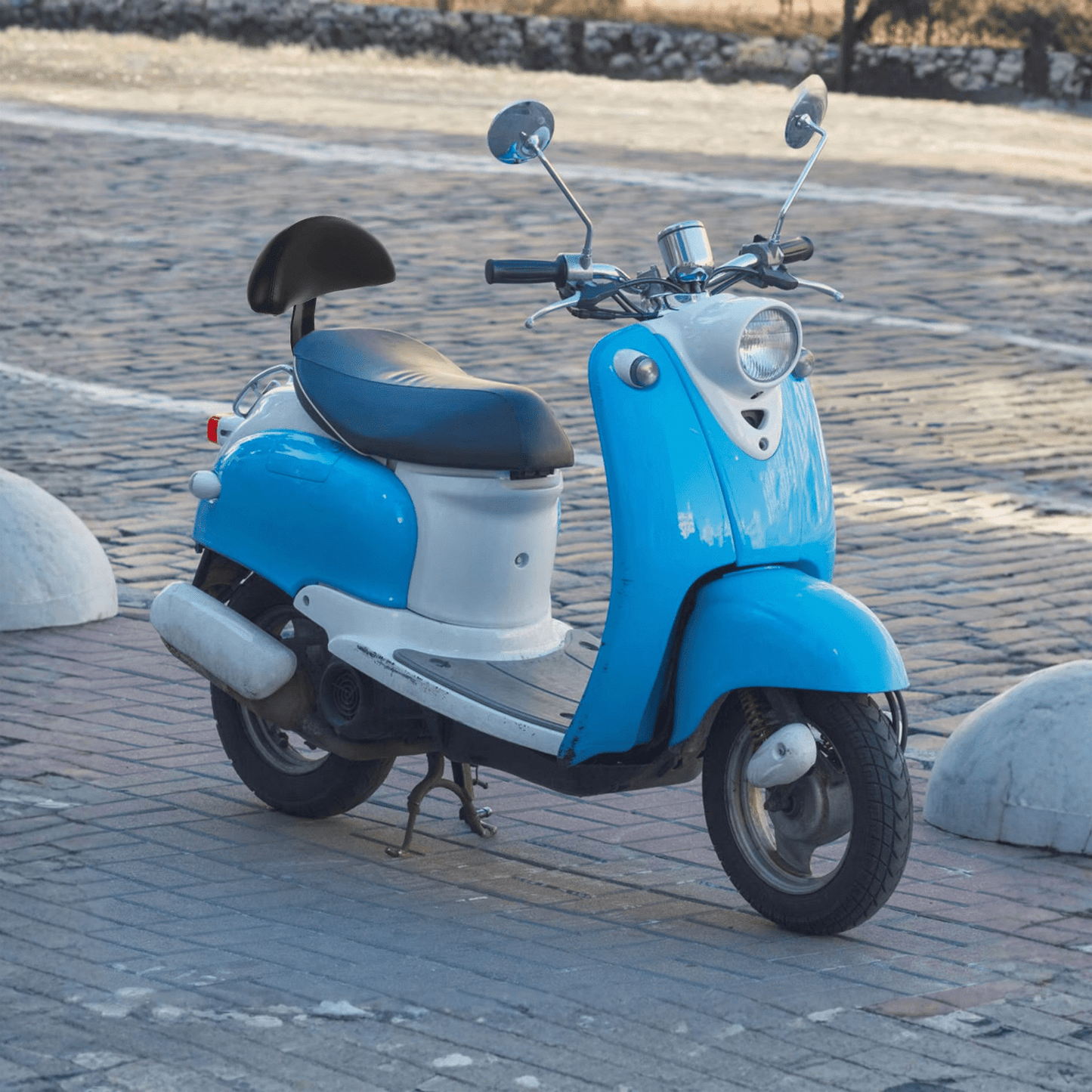 Smart Passenger backrest - Accessories - Wheelyshop