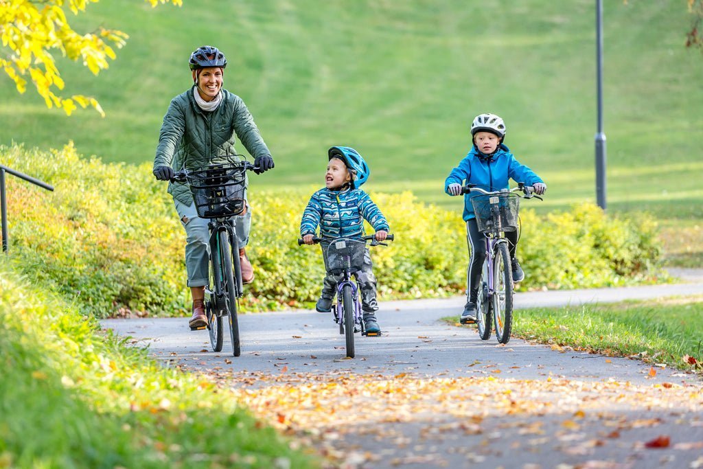 Find your perfect electric bike at Wheelyshop