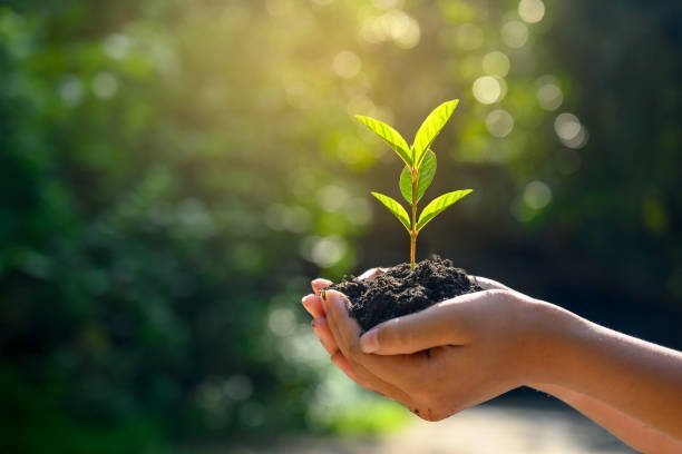 Reduce returns and protect the environment | Wheelyshop