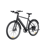 Hybrid electric bike