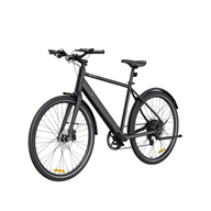 Hybrid electric bike