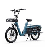 Electric cargo bike