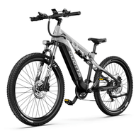 Electric bike