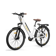 Electric bike Long Range