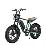 Fat bike