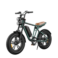 Fat bike