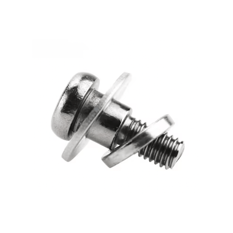 Electric scooter screws
