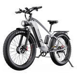 Fast electric bike