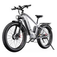 Fast electric bike