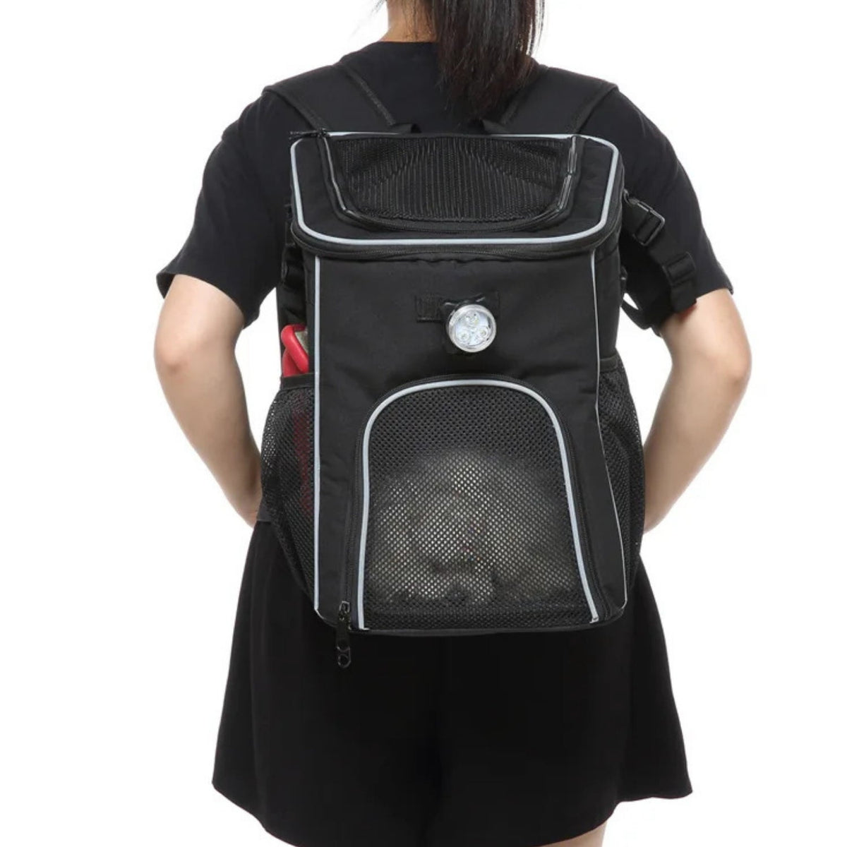 Foldable 2-in-1 pet bike bag and backpack in black, worn by a person