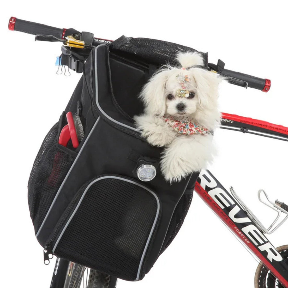 Foldable 2-in-1 pet bike bag and backpack in black with a dog inside