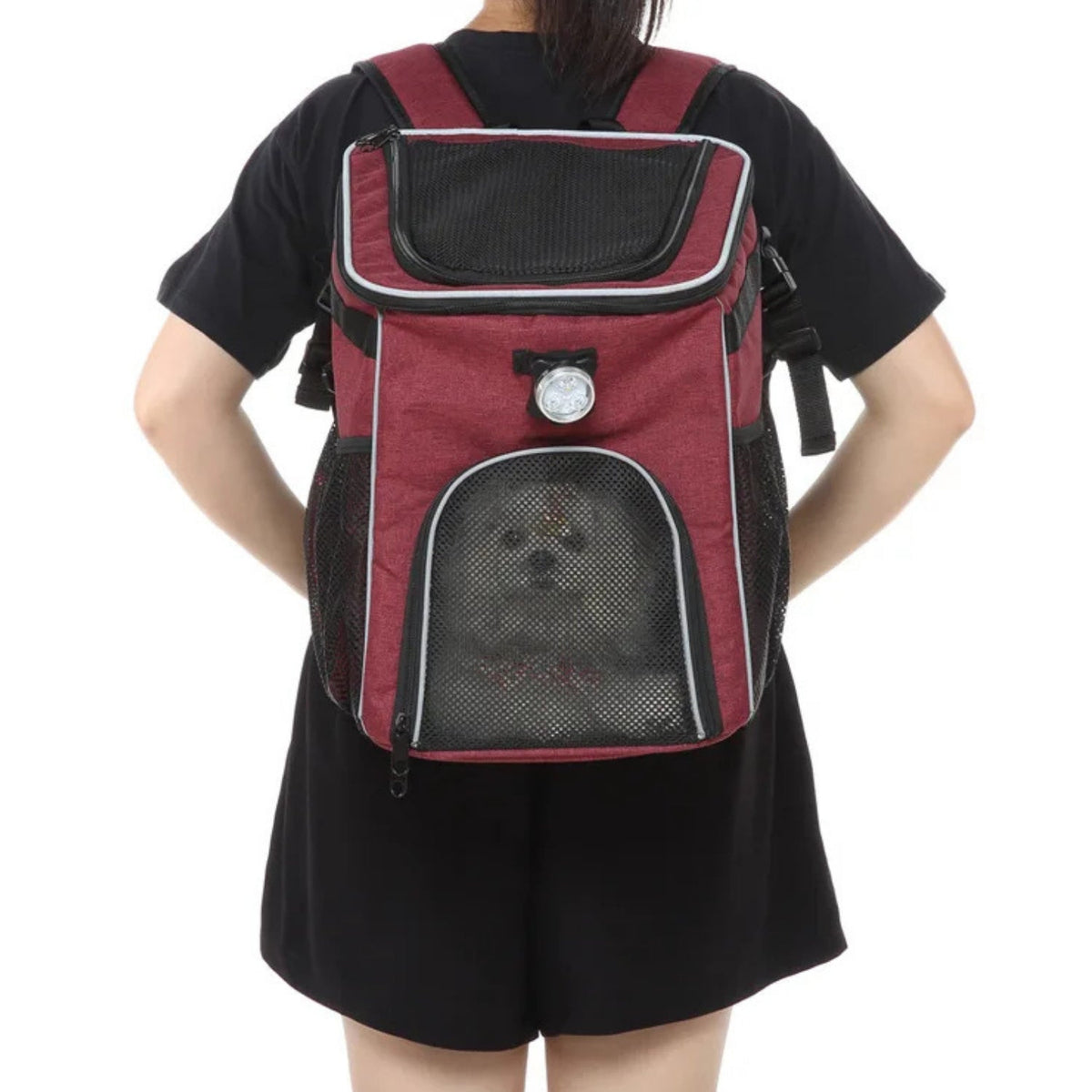 Foldable 2-in-1 pet bike bag and backpack in red, worn by a person