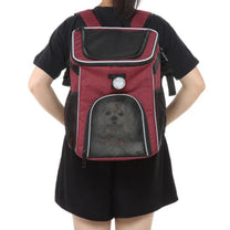 Foldable 2-in-1 pet bike bag and backpack in red, worn by a person
