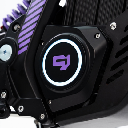 79BIKE Lynx Trail - Electric dirt bike - Wheelyshop