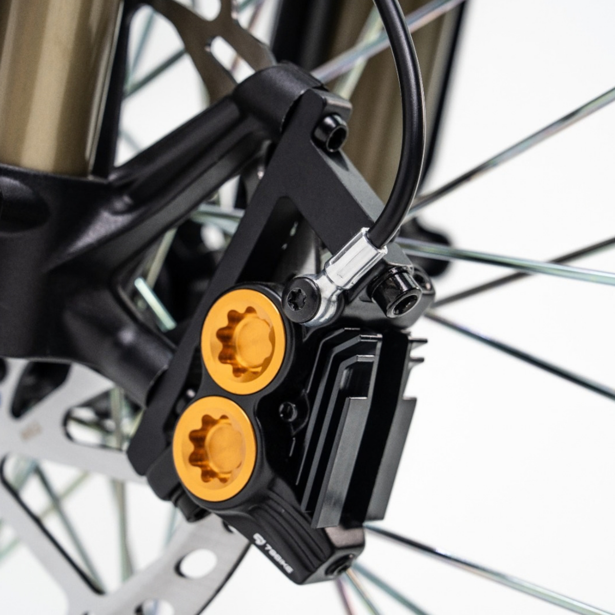 79BIKE Lynx Trail - Electric dirt bike - Wheelyshop