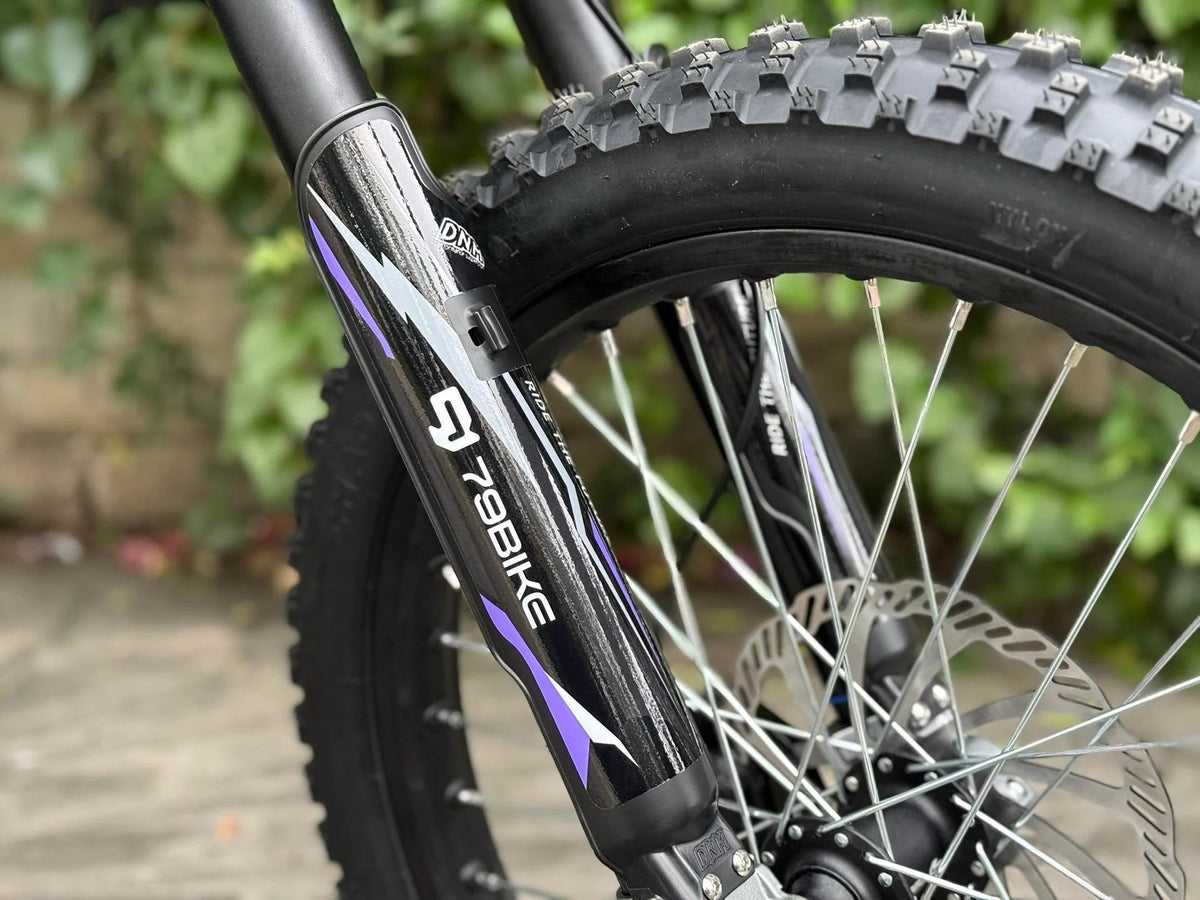 79BIKE Falcon Pro front wheel and fork