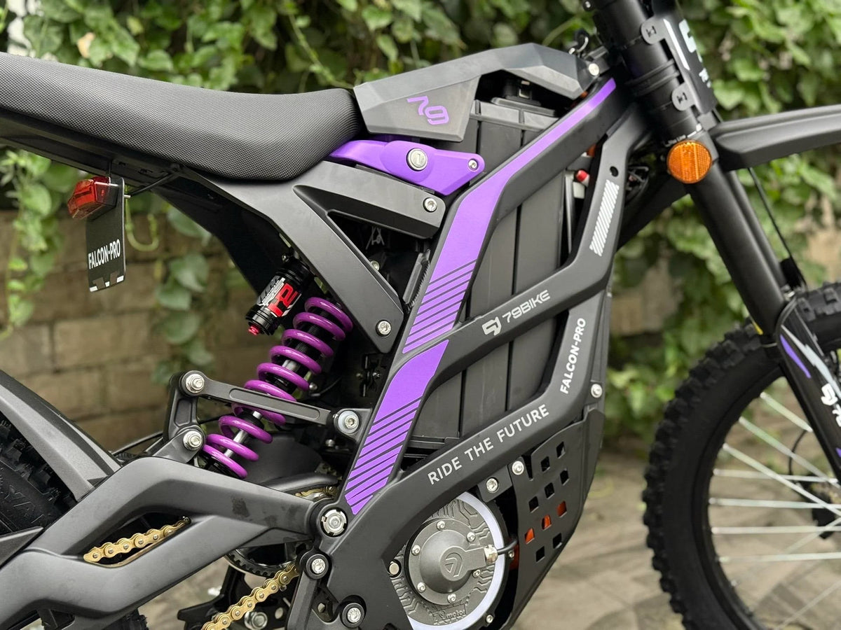 79BIKE Falcon Pro frame