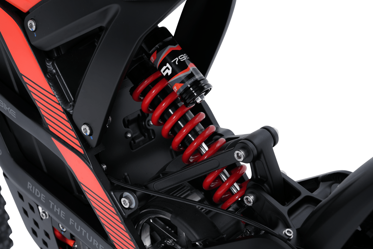 79BIKE Falcon Pro RL - El - cross - Wheelyshop