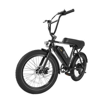 DYU UX BMX e-bike with removable 48V 13Ah battery – Wheelyshop