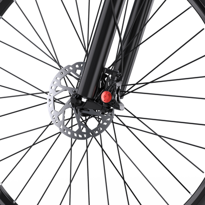 Duotts C29-M - Electric bike - Wheelyshop