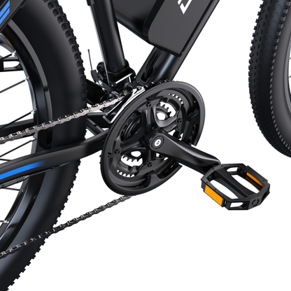 Duotts C29-M - Electric bike - Wheelyshop