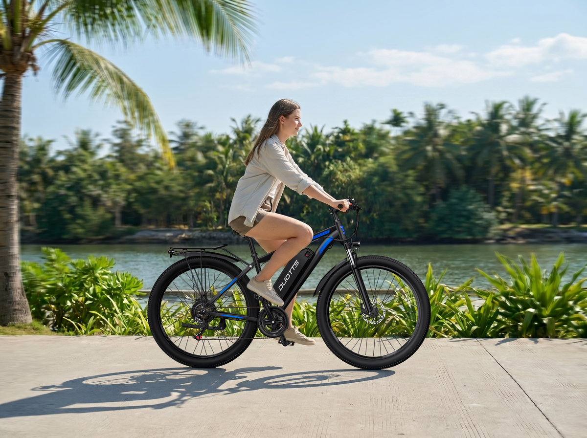 Duotts C29-M - Electric bike - Wheelyshop