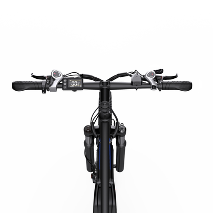 Duotts C29-M - Electric bike - Wheelyshop