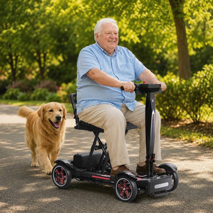 EASWE M20 - Mobility scooter - Wheelyshop