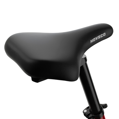 HOVSCO HovBeta - Electric Bike - Wheelyshop