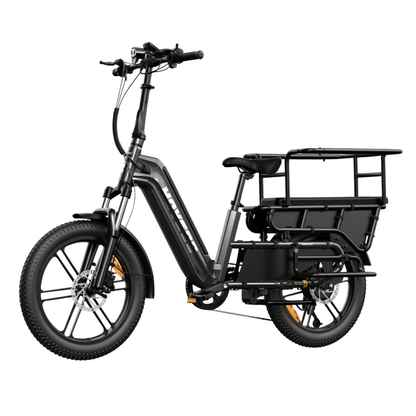 HOVSCO HovCart - Electric bike - Wheelyshop