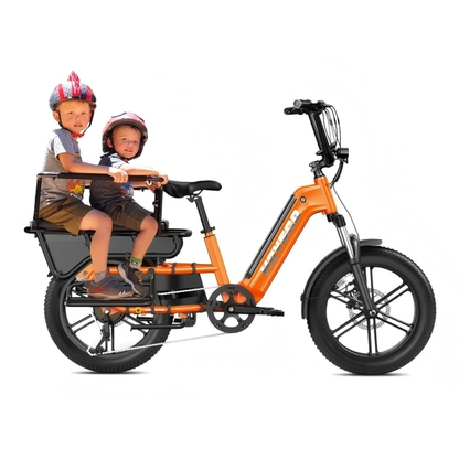 HOVSCO HovCart - Electric bike - Wheelyshop