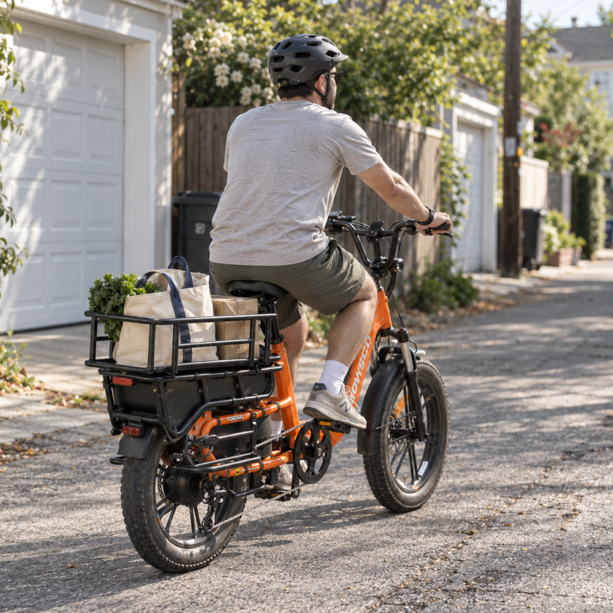HOVSCO HovCart - Electric bike - Wheelyshop