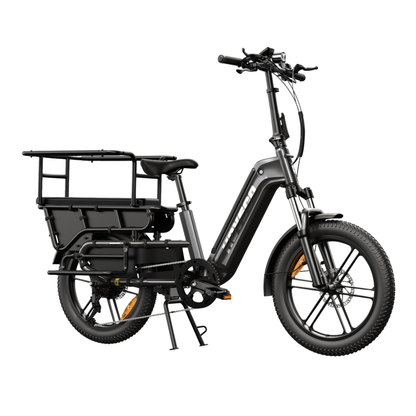 HOVSCO HovCart - Electric bike - Wheelyshop