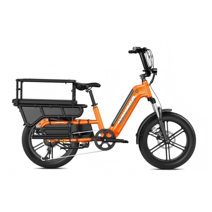 HOVSCO HovCart - Electric bike - Wheelyshop