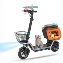 Infographic with text about the HX S20 electric scooter
