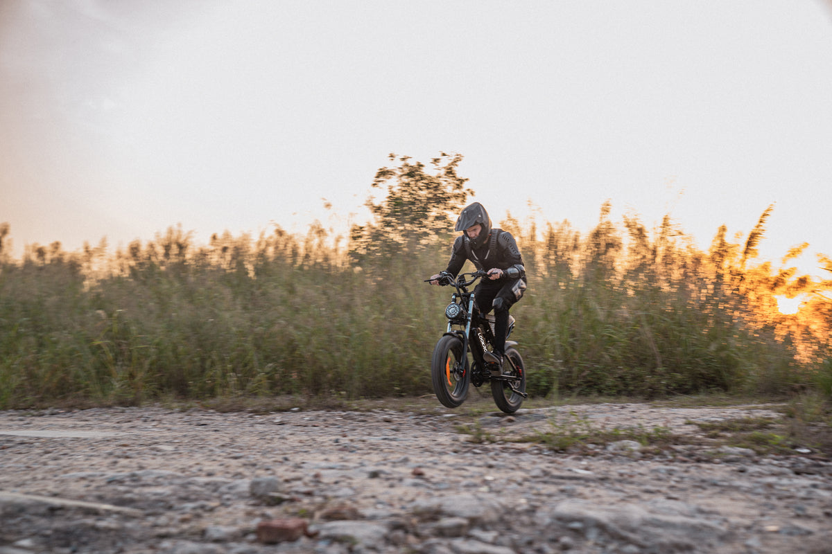 Person riding the LOOKROAD L20 fat-tyre e-bike on a grassy field