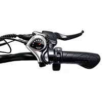 LOOKROAD L20 handlebar grip and controls
