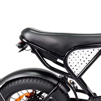 LOOKROAD L20 saddle