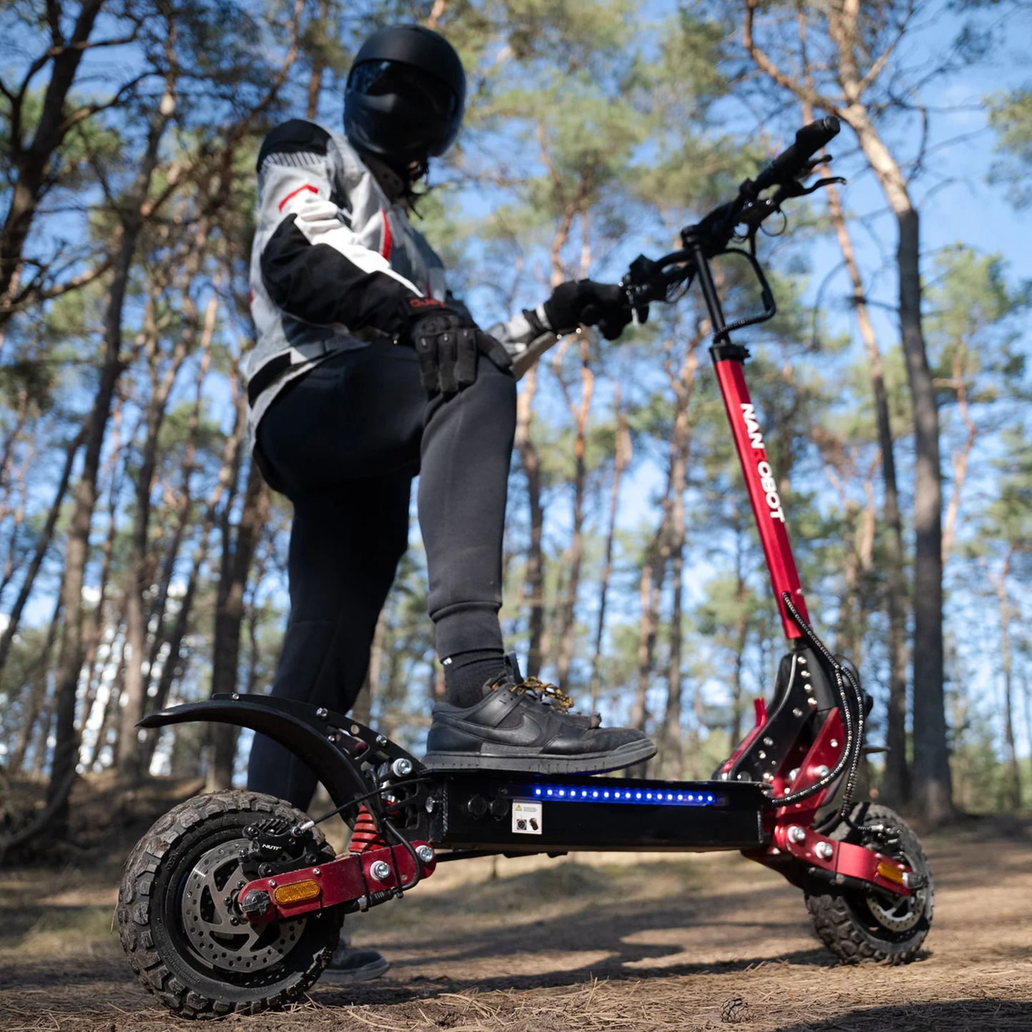 Nanrobot D4+MAX