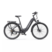 OneSport OT05 Max grey electric bicycle with low step-through frame in right side view, with rear rack and mudguards