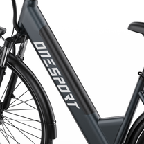 OneSport OT12 Pro, close-up of the frame with battery housing, front fork and front mudguard