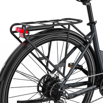 OneSport OT12 Pro from behind with rear rack, rear light, mudguard and rear wheel