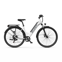 OneSport OT12 Pro, white electric bicycle seen from the side with a low step-through frame, rear rack and mudguards