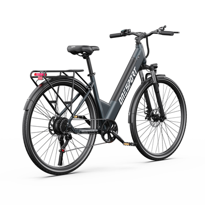 OneSport OT12 Pro e-bike seen from behind at an angle with rear rack, red rear light, saddle and chain