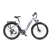 OneSport WT05 white e-bike, side view with rear rack, mudguards and front disc brake