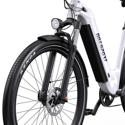 OneSport WT05 front wheel with disc brake, fork, mudguard and light, seen from the side