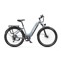 OneSport WT05 e-bike in side view with grey frame, low step-through frame, rear rack and mudguards over the wheels