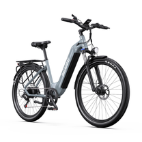 OneSport WT05 e-bike seen from the front angle with headlight, front mudguard and front disc brake