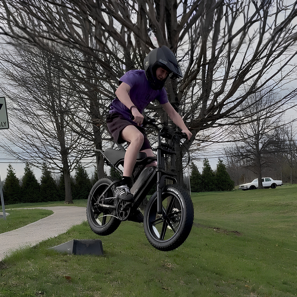 TST R002 Plus - Electric bike - Wheelyshop